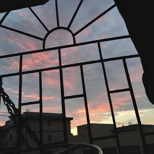 免费看黑人真人做爱视频
